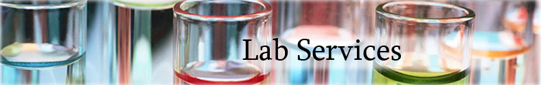 Lab Services Header